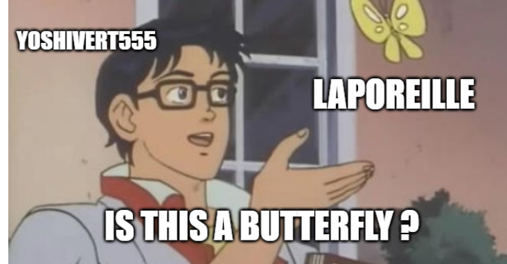 Opera Instantané_2020-12-03_082942_imgflip.com.png